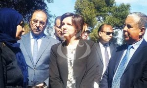 La Ministre de la Culture